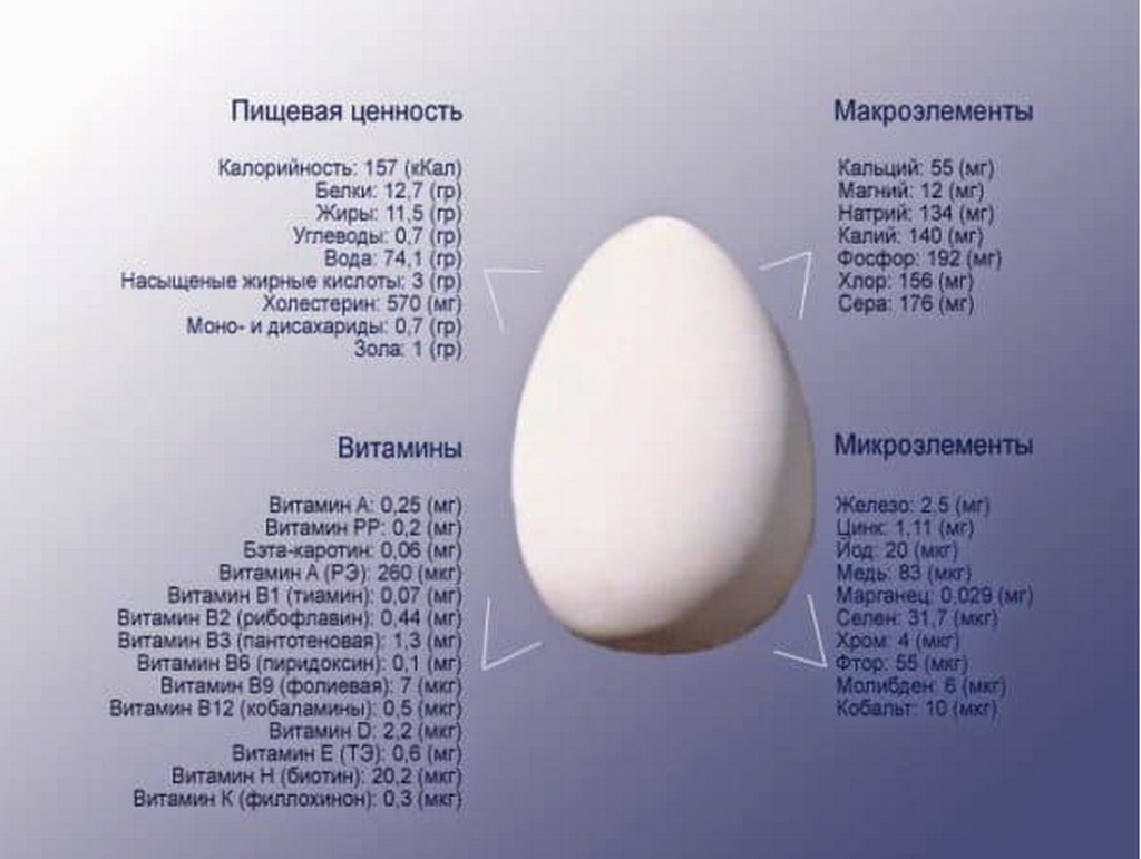 Разведение индюков