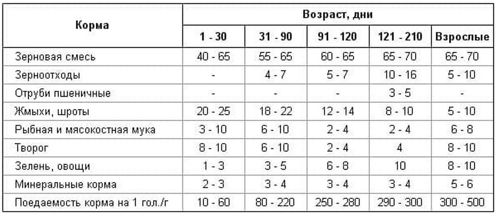 Биг 9 индюки