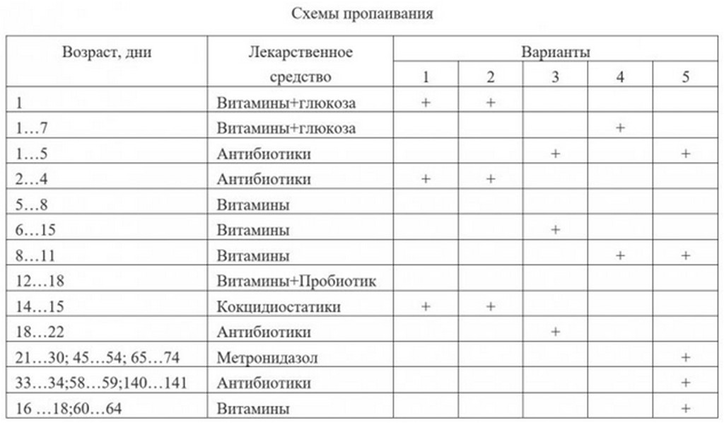 Гистомоноз индеек лечение и профилактика