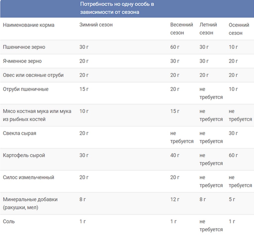 Разведение индоуток